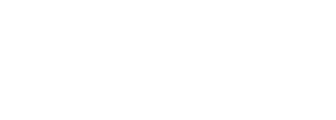 Crimson Shield International