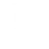 Crimson Shield International