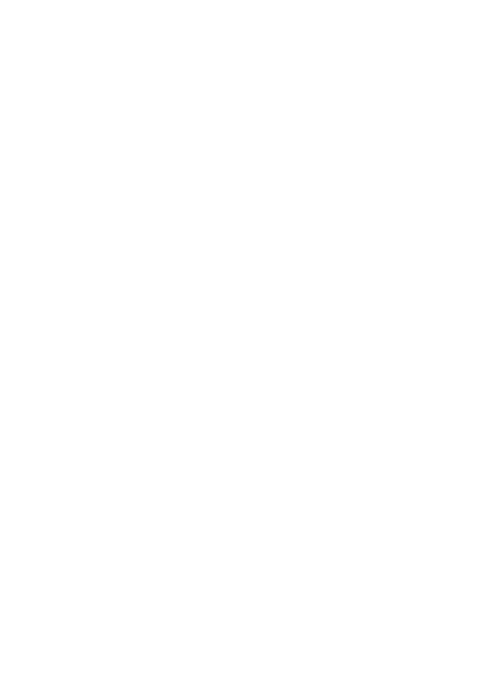 Crimson Shield International Logo