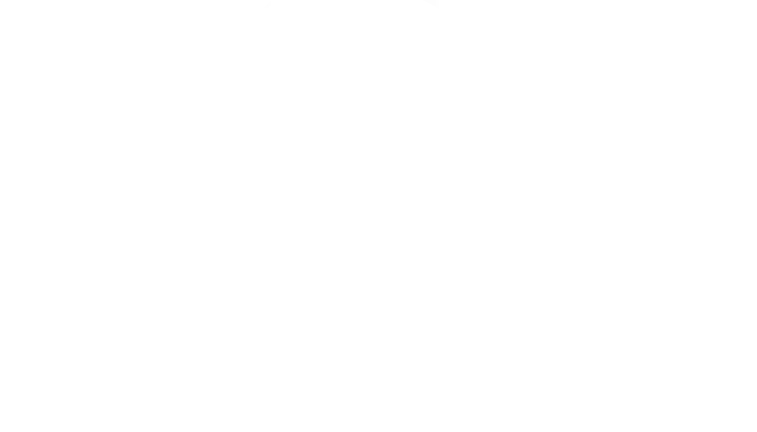 Crimson Shield International Faction Logo